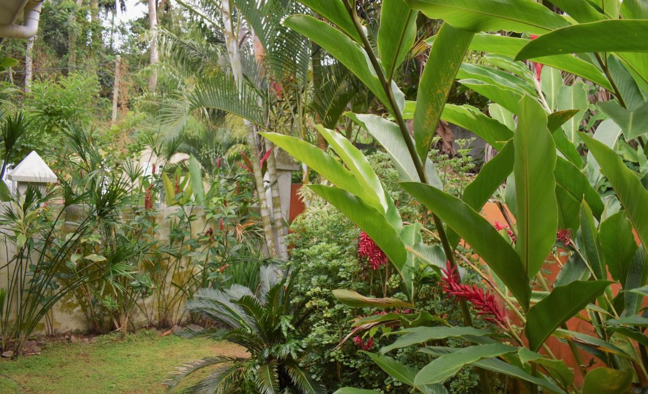 Sunbird Bungalow Anse Boileau Exterior foto
