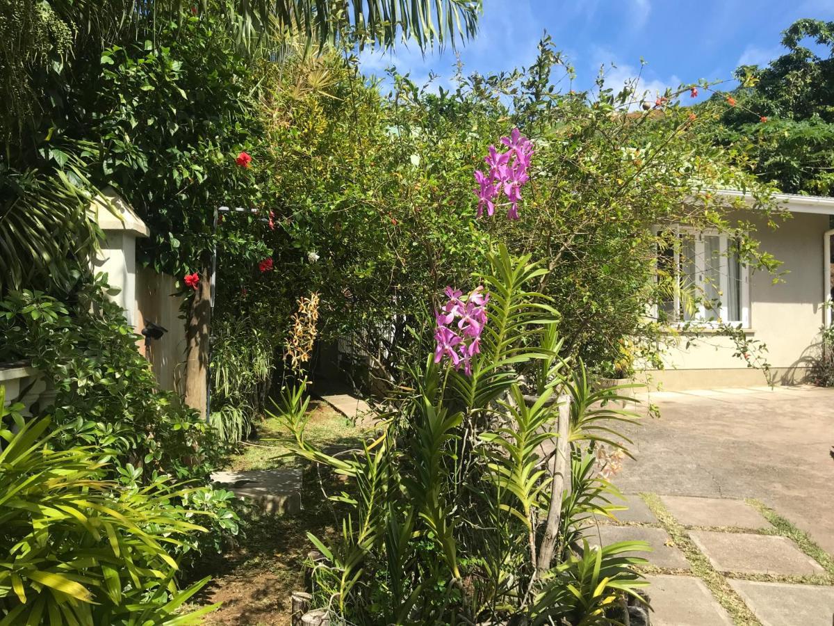 Sunbird Bungalow Anse Boileau Exterior foto